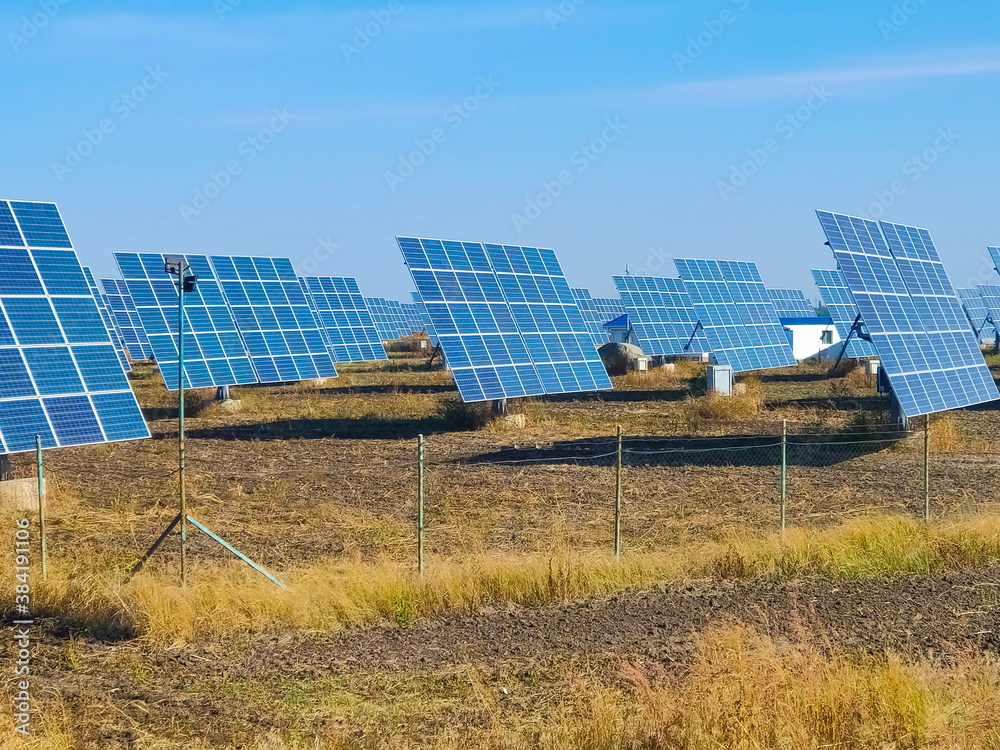 Wall mural garden solar panels with growing pumpkins. use solar power, solar panels in your garden.