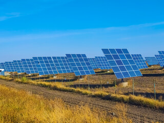 Garden Solar Panels with growing pumpkins. Use solar power, solar panels in your garden.