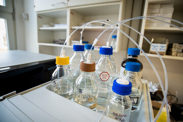Stock solutions for a purpose of liquid chromatography analysis, bottles are connected directly to the machine