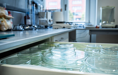 Petri dishes (Petri plate or cell culture dish) in s biochemistry laboratory, Petri dish is a cylindrical glass or plastic lidded dish used to culture cells such as bacteria or mosses