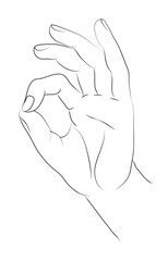 Linear sketch drawing. Gesture okay line art illustration. Isolated on white background.