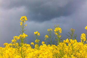 Symbolbild Wettervorhersage