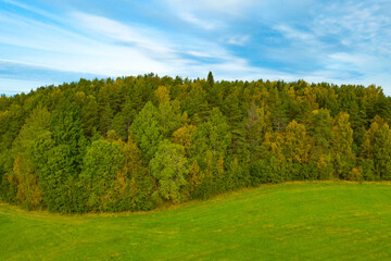 Fototapeta na wymiar Autumn green forest, green field and blue sky. Nature landscape in Karelia