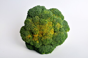 broccoli head on the white background
