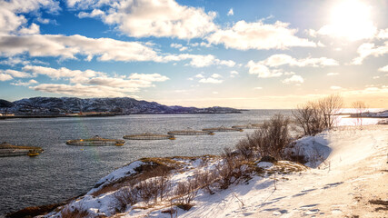 Salmon farm in norwegian fjord, sunny winter landscape, panoramic view, Lofoten Islands, Norway