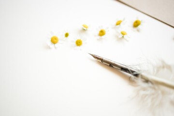 daisies on the table with a quill pen