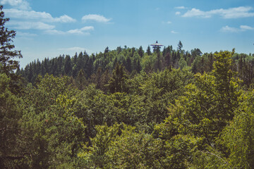 Green Teutoburg Forest.  Wooden Egge Tower on top of Velmerstot hill in North Rhine Westphalia, Germany
