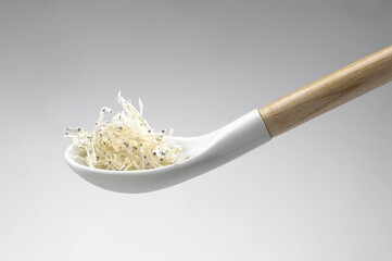 陶器製のスプーンに盛られたシラス干し