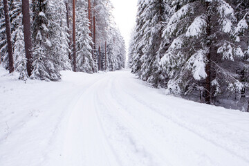 A small snowy road after snow blizzard in the middle of wintery boreal forest in Estonia. 