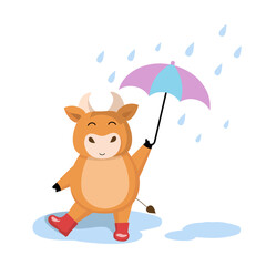 Little happy bull  stands in the rain in rubber boots under purple umbrella. Vector cartoon illustration isolated on white background