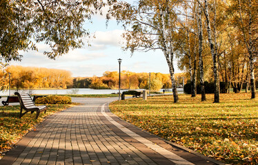 Inspirational natural autumn landscape. A path in the autumn city park leading to the embankment. Sunny warm day, golden autumn. Green grass strewn with yellow leaves