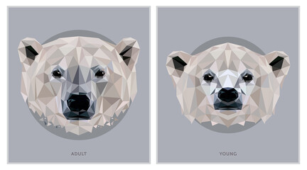 White Bear Polygonal Print Illustration