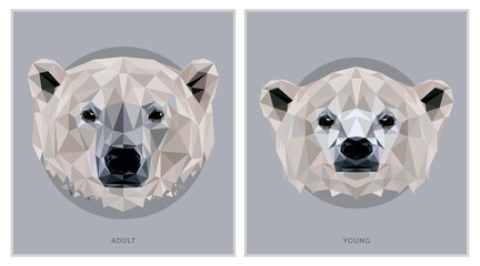 Obraz premium White Bear Polygonal Print Illustration