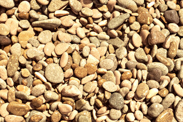 Natural background from colored and wet sea pebbles