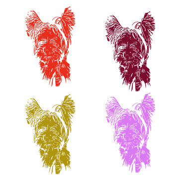 Dog, terrier, west-highland-white-terrier, white, black, vector, graphics, drawing, picture, stylization, image, isolated, illustration. All lines in the drawing can be edited. The background is blank