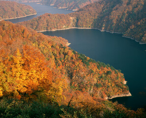 田子倉湖の紅葉