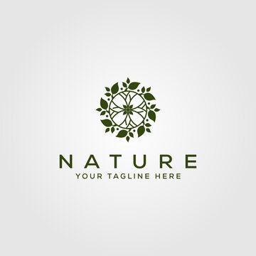 nature leaf circle logo vector illustration design, green leaf logo