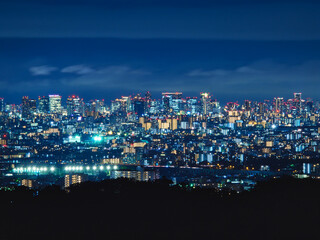 Fototapeta premium Osaka night city scape