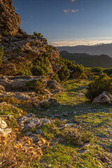 Stones and  Autumn vegetation in the mountains of Corsica with the sea in the background