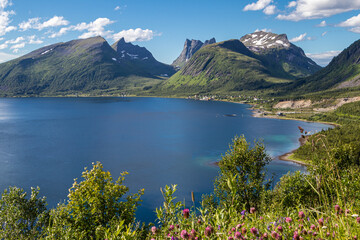 Mountain landscape view from Bergsbotn, Senja island Norway.