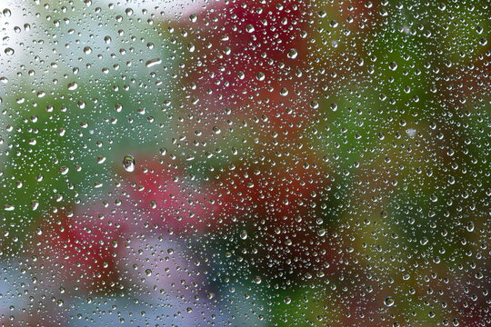 Rain water droplets on window macro close up shot colored blurred background