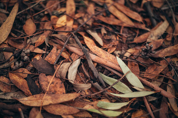 Autumn leaves lying on the ground. Golden time of autumn. autumn cover of golden leaves. Autumn style and mood. vintage autumn photo.