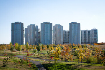 Obraz premium autumn in the park