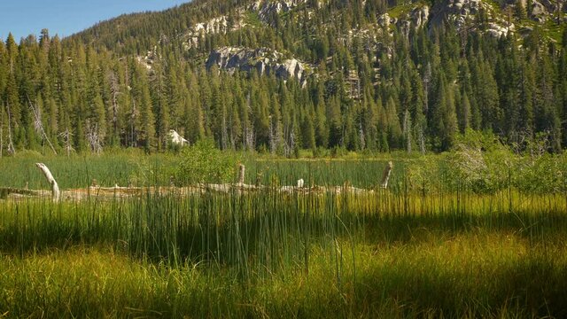 Sotcher Lake in the Ansel Adams Wilderness near Mammoth Lakes California USA