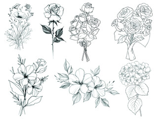 set of flowers, vector illustration