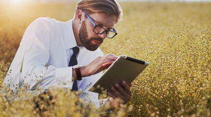 Agricultural engineer squatting in ripe field examining crops using modern wireless technologies