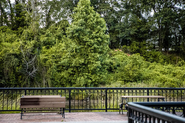 Fototapeta na wymiar Beautiful Scenery at Riverfront park in Columbia, SC