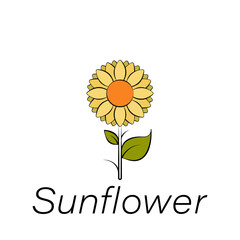 sunflower hand draw icon. Element of farming illustration icons. Signs and symbols can be used for web, logo, mobile app, UI, UX