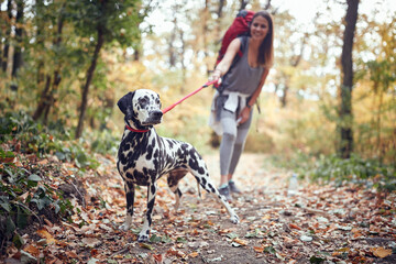 A female hiker and a beautiful dog at hiking