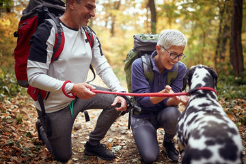An elderly hikers couple and their dog having wonderful moments at a hike
