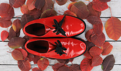 Fototapeta na wymiar red shoes, autumn red leaves background