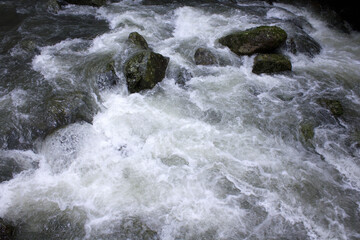箕面国定公園の箕面川の渓流