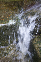 森の中の湧き水