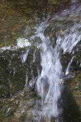 森の中の湧き水