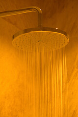 シャワールームのシャワー