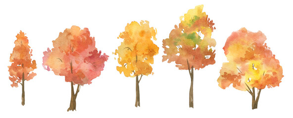 Watercolor autumn trees, clipart on a white background, pine, birch