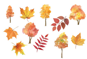 Watercolor autumn trees, autumn leaves, yellow clipart