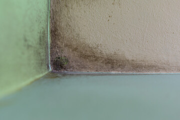 Unhigienic wall corner with Mold on the in the room stock photo