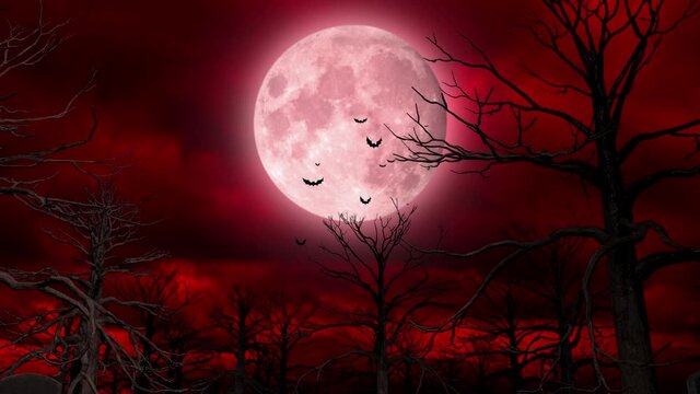 Halloween Red Darkness Background (Loop)