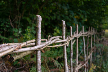 Traditional woven willow wicker fence panel , close up .