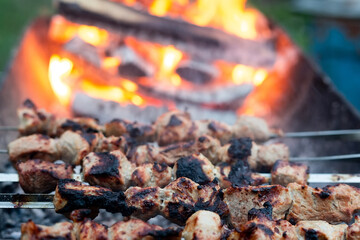 Shish kebab on coals.