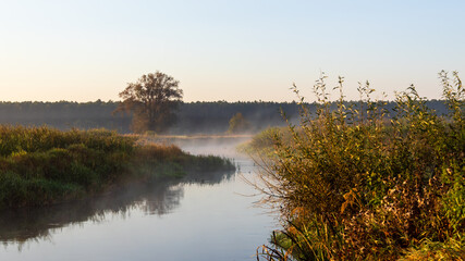 Poranne mgły  Dolinie Narwi,Podlasie, Polska © podlaski49