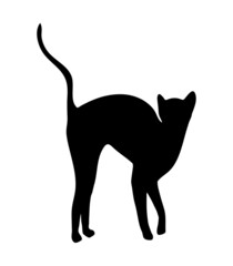 Black cat vector illustration, cat silhouette, abstract cat illustration isolated on white background. Cat arching its back halloween symbol
