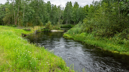 Fototapeta na wymiar River in Karelia surrounded by forest, Russia, Karelia, August 2020