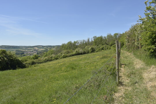 Prairie bien verte