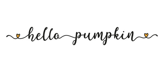 Hand sketched HELLO PUMPKIN quote as banner. Lettering for poster, label, sticker, flyer, header, card, advertisement, announcement..